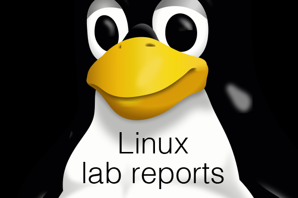 Linux lab reports